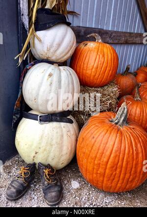 Coin confortable ferme annuel marché, Waukesha, USA. 9 octobre 2018. 9 octobre 2018, Cosy Nook Farm de Waukesha, WI est titulaire d'un marché agricole annuelle d'automne avec les gourdes et DianaJ Stockimo, citrouilles/News/Alamy Crédit : Diana J./StockimoNews/Alamy Live News Banque D'Images