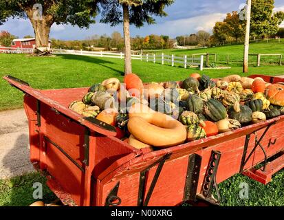 Coin confortable ferme annuel marché, Waukesha, USA. 9 octobre 2018. 9 octobre 2018, Cosy Nook Farm de Waukesha, WI est titulaire d'un marché agricole annuelle d'automne avec les gourdes et DianaJ Stockimo, citrouilles/News/Alamy Crédit : Diana J./StockimoNews/Alamy Live News Banque D'Images