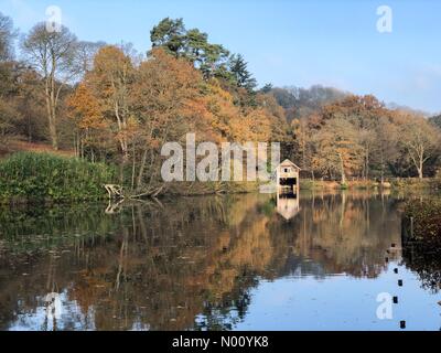 Winkworth Arboretum, Godalming. 17 novembre 2018. Un froid et ensoleillé pour la journée, pour l'accueil de comtés. Winkworth Arboretum à Godalming, Surrey. /StockimoNews jamesjagger : Crédit/Alamy Live News Banque D'Images