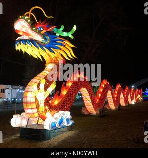 New York City, USA. 12Th Dec 2018. Lanterne Dragon au Winter Festival, Snug Harbor, New York, NY, USA prises par Kaye's images 12/13/18 Crédit : laurie allread/StockimoNews/Alamy Live News Banque D'Images