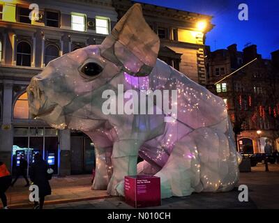 Manchester, UK. 7 février 2019. Alex Rinsler art installation à Manchester St Ann Square pour célébrer le Nouvel An chinois du cochon porcelet, razmcnultyphotography StockimoNews Crédit : //Alamy Live News Banque D'Images