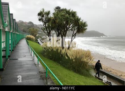 Swansea, Royaume-Uni. 25 octobre, 2019. Un homme a bravé le vent d'automne et la pluie au Langland Bay près de Swansea cet après-midi que le temps se dégrade. Credit : Phil Rees / StockimoNews/Alamy Live News Banque D'Images