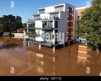Hereford, Royaume-Uni. 27 Oct, 2019. Météo Inondations à Hereford Royaume-Uni Royaume-Uni - la rivière Wye est extrêmement élevé à Hereford avec quelques inondations sur la rive gauche dont ces appartements Riverside modernes sur pilotis. Crédit : Steven Mai / StockimoNews/Alamy Live News Banque D'Images