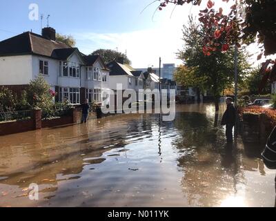 Hereford, Royaume-Uni. 27 Oct, 2019. Météo Inondations à Hereford Royaume-Uni Royaume-Uni - la rivière Wye est extrêmement élevé à Hereford avec quelques inondations à des propriétés sur la rive gauche. Crédit : Steven Mai / StockimoNews/Alamy Live News Banque D'Images
