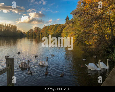 Godalming, UK. 10 Nov, 2019. Météo France : couleurs d'automne à Godalming. Summers Road, Godalming. 10 novembre 2019. Un bel après-midi d'automne pour les Home Counties. Lac Broadwater à Godalming dans le Surrey. Jamesjagger StockimoNews Crédit : //Alamy Live News Banque D'Images