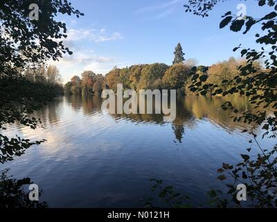 Godalming, UK. 10 Nov, 2019. Météo France : couleurs d'automne à Godalming. Summers Road, Godalming. 10 novembre 2019. Un bel après-midi d'automne pour les Home Counties. Lac Broadwater à Godalming dans le Surrey. Jamesjagger StockimoNews Crédit : //Alamy Live News Banque D'Images