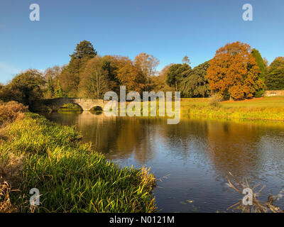 Abbaye de Waverley, Farnham, Surrey, Royaume-Uni. 11 novembre 2019. Un beau matin ensoleillé pour le Home Counties. Lac de l'abbaye de Waverley, près de Farnham, Surrey. /StockimoNews jamesjagger : Crédit/Alamy Live News Banque D'Images