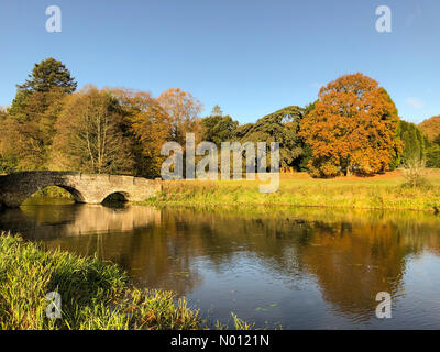 Farnham, Surrey, Royaume-Uni. 11 novembre 2019. Un beau matin ensoleillé pour le Home Counties. Lac de l'abbaye de Waverley, près de Farnham, Surrey. /StockimoNews jamesjagger : Crédit/Alamy Live News Banque D'Images