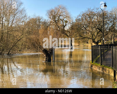 Cobham, Surrey. 26Th Dec 2019. Météo France : Les inondations de Cobham. A245, Cobham. 23 décembre 2019. Avertissements d'inondations en place pour le pays d'accueil aujourd'hui. La rivière Mole éclater ses rives à Cobham à Surrey. /StockimoNews jamesjagger : Crédit/Alamy Live News Banque D'Images