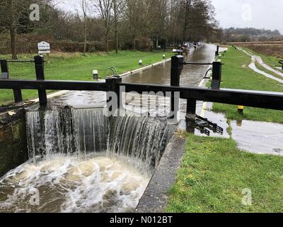 Météo au Royaume-Uni : inondations à Godalming. Catteshall Lane, Godalming. 16 février 2020. Fortes précipitations de la tempête Dennis pendant la nuit. Catteshall Lock sur la rivière Wey à Godalming dans Surrey. Crédit: Jamesjagger/StockimoNews/Alay Live News Banque D'Images