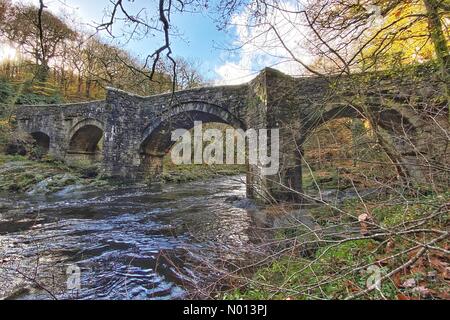 Dartmoor, Devon. 12 novembre 2020. Météo au Royaume-Uni: La rivière Dart coule sous le pont Holne sur Dartmoor, Devon crédit: Nidpor/StockimoNews/Alay Live News Banque D'Images