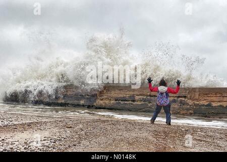 Hope Cove, Devon, Royaume-Uni. 31 janvier 2021. Météo au Royaume-Uni: Grandes vagues pour Raich Keene quand ils ont frappé le mur du port à Hope Cove dans Devon crédit: Nidpor/StockimoNews/Alay Live News Banque D'Images