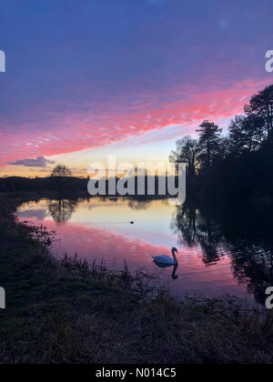 Météo Royaume-Uni : coucher de soleil sur Farnham. Abbaye de Waverley, Farnham. 25 février 2021. Une belle fin de journée pour les comtés d'origine. Coucher de soleil sur l'abbaye de Waverley à Farnham, Surrey. Crédit : jamesjagger/StockimoNews/Alay Live News Banque D'Images