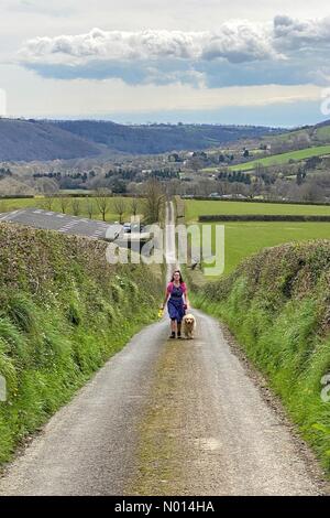 Rivière Teign, Teign Valley, Devon. 9 avril 2021. Météo au Royaume-Uni : le printemps haut en couleur, descendez les ruelles de la campagne par une belle journée chaude pour Raich Keene et Raphael le retriever à Dunsford, Devon. Crédit : nidpor/StockimoNews/Alamy Live News Banque D'Images