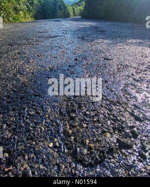 Doddiscombsleigh, Devon, Royaume-Uni. 21 juillet 2021. Météo au Royaume-Uni : les températures de cuisson fondent les routes de goudron lors d'une autre journée de torréfaction chaude au sommet de Tick Lane près de Doddiscombsleigh près de Devon. 21 juillet 2021. Crédit: Nidpor crédit: Nidpor/StockimoNews/Alay Live News Banque D'Images