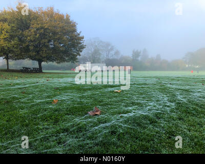 Météo au Royaume-Uni : rosée du matin à Farnham.Morley Rd, Farnham.11 novembre 2021.Un début de journée brillant mais brumeux à travers les comtés d'origine.Rosée matinale sur des toiles d'araignée sur un champ à Farnham, dans le Surrey.Crédit : jamesjagger/StockimoNews/Alay Live News Banque D'Images