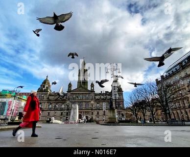 Les pigeons survolent George Square à Glasgow, en Écosse, au Royaume-Uni. 19th février 2022. Credit nidpor/ Alamy Live News Credit: Nidpor/StockimoNews/Alamy Live News Banque D'Images