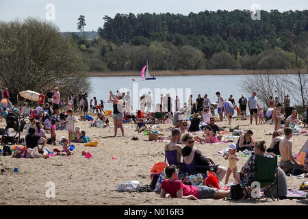 Météo au Royaume-Uni : ensoleillé à Frensham. Grand étang de Frensham, Frensham. 15th avril 2022. Temps chaud et ensoleillé dans les comtés d'origine aujourd'hui. La foule au grand étang de Frensham près de Farnham dans Surrey. Crédit : jamesjagger/StockimoNews/Alay Live News Banque D'Images