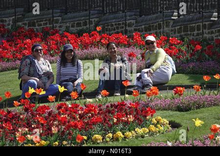 Météo au Royaume-Uni : ensoleillé à Guildford. Parc du château, Guildford. 21st avril 2022. Temps ensoleillé dans les comtés d'origine aujourd'hui. Les gens qui apprécient le temps dans le parc du château à Guildford, dans le Surrey. Crédit : jamesjagger/StockimoNews/Alay Live News Banque D'Images