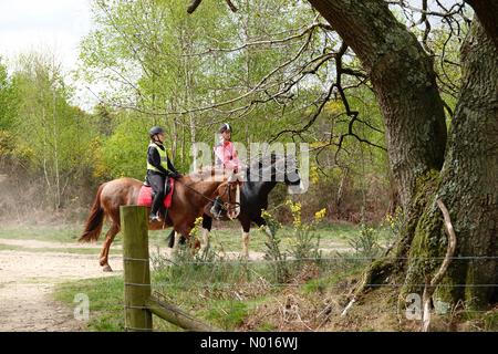 Météo Royaume-Uni : nuageux le jeudi. Jeudi commun, jeudi. 22nd avril 2022. Temps frais et nuageux dans les comtés d'origine aujourd'hui. Cavaliers au Thursley Common près de Godalming, Surrey. Crédit : jamesjagger/StockimoNews/Alay Live News Banque D'Images