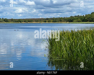 Frensham Great Pond, Farnham. 28th juin 2022. Météo au Royaume-Uni : intervalles ensoleillés à Farnham. Frensham Great Pond, Farnham. 28th juin 2022. Temps chaud dans les comtés de la maison cet après-midi. Intervalles ensoleillés à Frensham Great Pond près de Farnham, Surrey Credit: Jamesjagger/StockimoNews/Alamy Live News Banque D'Images