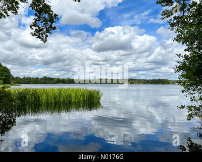 Frensham Great Pond, Farnham. 28th juin 2022. Météo au Royaume-Uni : intervalles ensoleillés à Farnham. Frensham Great Pond, Farnham. 28th juin 2022. Temps chaud dans les comtés de la maison cet après-midi. Intervalles ensoleillés à Frensham Great Pond près de Farnham, Surrey Credit: Jamesjagger/StockimoNews/Alamy Live News Banque D'Images