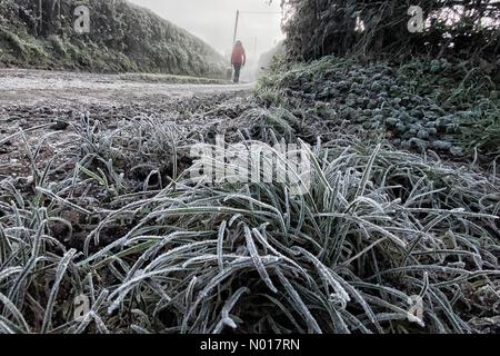 Météo au Royaume-Uni : Raich Keene s'est enveloppé de chaleur lors d'une promenade matinale glaciale à Dunsford à Devon, au Royaume-Uni. 11 décembre 2022. Credit nidpor/Alamy Live News Credit: Nidpor/StockimoNews/Alamy Live News Banque D'Images