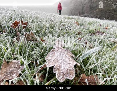 Météo au Royaume-Uni : Raich Keene s'est enveloppé de chaleur lors d'une promenade matinale glaciale à Dunsford à Devon, au Royaume-Uni. 11 décembre 2022. Credit nidpor/Alamy Live News Credit: Nidpor/StockimoNews/Alamy Live News Banque D'Images