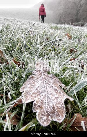 Météo au Royaume-Uni : Raich Keene s'est enveloppé de chaleur lors d'une promenade matinale glaciale à Dunsford à Devon, au Royaume-Uni. 11 décembre 2022. Credit nidpor/Alamy Live News Credit: Nidpor/StockimoNews/Alamy Live News Banque D'Images