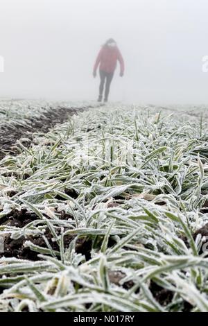 Météo au Royaume-Uni : Raich Keene a fait une promenade matinale glaciale à Dunsford à Devon, au Royaume-Uni. 11 décembre 2022. Credit nidpor/Alamy Live News Credit: Nidpor/StockimoNews/Alamy Live News Banque D'Images