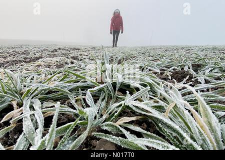 Météo au Royaume-Uni : Raich Keene a fait une promenade matinale glaciale à Dunsford à Devon, au Royaume-Uni. 11 décembre 2022. Credit nidpor/Alamy Live News Credit: Nidpor/StockimoNews/Alamy Live News Banque D'Images
