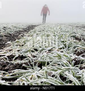 Météo au Royaume-Uni : Raich Keene a fait une promenade matinale glaciale à Dunsford à Devon, au Royaume-Uni. 11 décembre 2022. Credit nidpor/Alamy Live News Credit: Nidpor/StockimoNews/Alamy Live News Banque D'Images