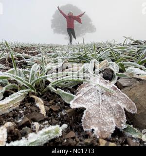 Météo au Royaume-Uni : Raich Keene a fait une promenade matinale glaciale à Dunsford à Devon, au Royaume-Uni. 11 décembre 2022. Credit nidpor/Alamy Live News Credit: Nidpor/StockimoNews/Alamy Live News Banque D'Images