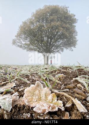 Météo au Royaume-Uni : Raich Keene a fait une promenade matinale glaciale à Dunsford à Devon, au Royaume-Uni. 11 décembre 2022. Credit nidpor/Alamy Live News Credit: Nidpor/StockimoNews/Alamy Live News Banque D'Images