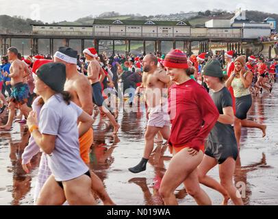 Des foules colorées inondent la plage de Teignmouth pour le populaire plongeon annuel du Boxing Day connu localement sous le nom de RNLI « Walk in the Sea ». Teignmouth, Devon, Royaume-Uni. 26 décembre 2023. Crédit nidpor crédit : nidpor/StockimoNews/Alamy Live News Banque D'Images