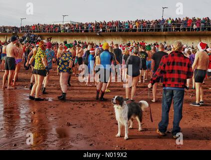 Les foules colorées et les nageurs apprécient le plongeon du lendemain de Noël à Teignmouth, Devon, Royaume-Uni. 26 décembre 2023. Crédit nidpor crédit : nidpor/StockimoNews/Alamy Live News Banque D'Images