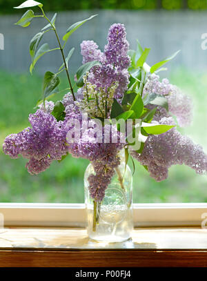 Le lilas et le muguet dans un vase pot en conserve Banque D'Images