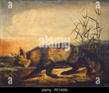 John Woodhouse Audubon (américain, 1812 - 1862 ), Long-Tailed Red Fox, 1848/1854, huile sur toile, Don de E.J.L. Hallstrom 14 Long-Tailed-000640-20111026 G Red Fox Banque D'Images