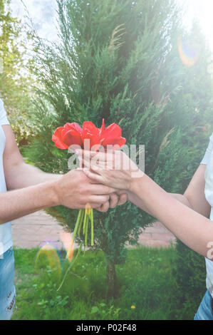 Loving couple holding a bouquet de tulipes sur fond d'arbres magnifiques. Un homme donne à sa bien-aimée des fleurs. Le concept de l'expression des sentiments de l Banque D'Images