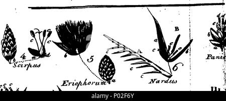 . Anglais : fleuron de livre : Un arrangement botanique de la plantes ; y compris les utilisations de chaque espèce, en médecine, l'alimentation, l'oeconomie rurale et des arts avec une introduction à l'étude de la botanique, ... Illustré par des plaques de cuivre. La deuxième édition. Par William Withering, ... 26 Un arrangement botanique de la plantes ; y compris les utilisations de chaque espèce, en médecine, l'alimentation, l'oeconomie rurale et le fleuron des arts T144691-17 Banque D'Images