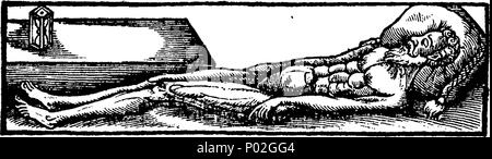 . Anglais : fleuron de livre : un catalogue de toutes les raretés dans cheifest le publick theatre et pot-hall, de l'université de Leyde, par Gerrard Blancken, qui sont définis afin qu'une [sic] peut facilement bee trouvés à leur place. 30 Le catalogue de tous les objets rares en cheifest le publick theatre et pot-hall Fleuron T011417-1 Banque D'Images