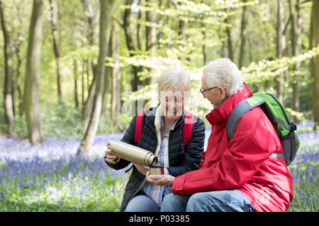 Senior Couple Having verre ballon sur Promenade à travers bois Bluebell Banque D'Images