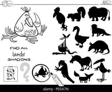 Illustration Cartoon noir et blanc de trouver tous les oiseaux ombres jeu éducatif pour enfants Coloring Book Illustration de Vecteur