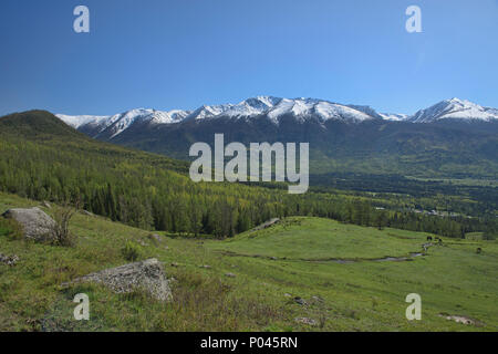 Superbe paysage du nord au Parc National du lac Kanas, Xinjiang, Chine Banque D'Images