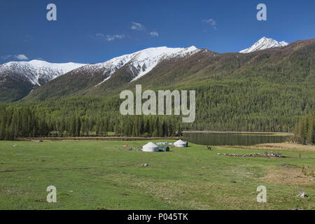 Accueil sur la plage ; à yourtes du parc national du lac Kanas, Xinjiang, Chine Banque D'Images