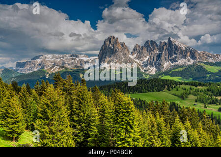 Alpe di Siusi - Alpe di Siusi avec Sassolungo Langkofel - Groupe de montagne dans l'arrière-plan, Trentino Alto Adige - Tyrol du Sud, Italie Banque D'Images