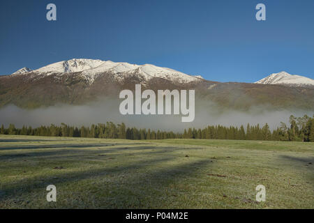 Superbe paysage du nord au Parc National du lac Kanas, Xinjiang, Chine Banque D'Images