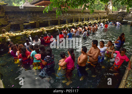 Pèlerins dans la piscine d'eau Sainte de Pura Tirta Empul, un temple indo-balinais hindou à Bali, Indonésie Banque D'Images