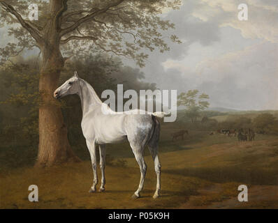 . Probablement peint pour seigneur de rivières dans Stratfieldsaye en 1806-1807 . Cheval gris dans la prairie . Juillet 1806 272 Jacques Laurent Agasse, Schimmel auf der Weide Banque D'Images