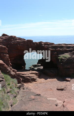 Aiguille E'e rock arch dans le grès rouge des falaises Seaton Angus Scotland Juin 2018 Banque D'Images